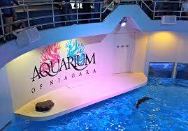 Parking at P5101 Premium Parking Aquarium of Niagara near Aquarium Of Niagara - Image 2